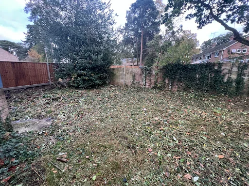 D G Parker Grounds &amp; Garden Maintenance photo 4