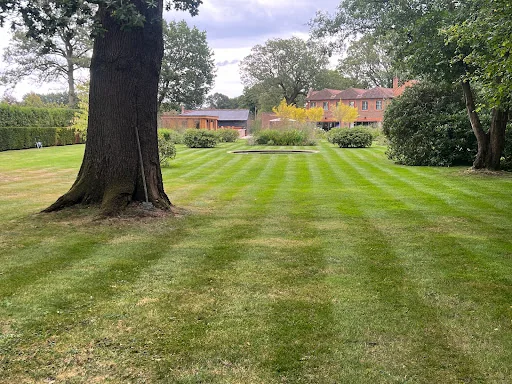 D G Parker Grounds &amp; Garden Maintenance photo 6