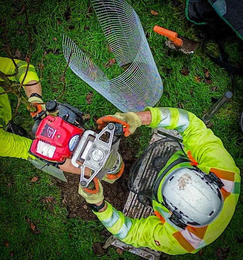 Foremost Tree Surgeons Ltd photo 3