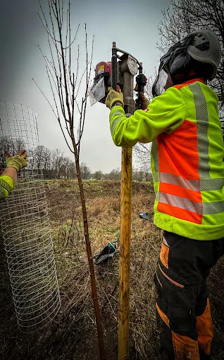 Foremost Tree Surgeons Ltd photo 4