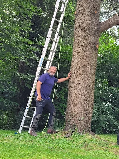 Clearview Tree Surgery photo 2