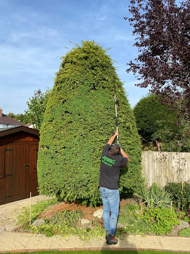 Clearview Tree Surgery photo 3