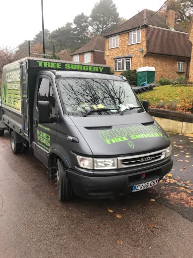 Clearview Tree Surgery photo 8