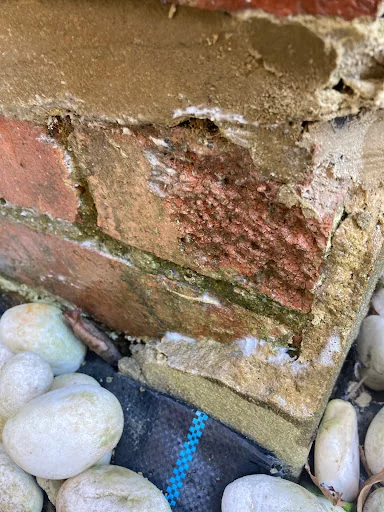 Allwood Preservation photo 4