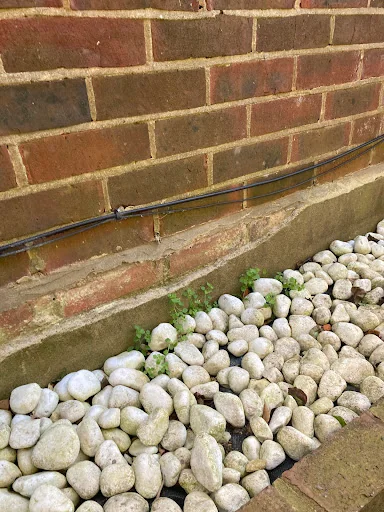 Allwood Preservation photo 5