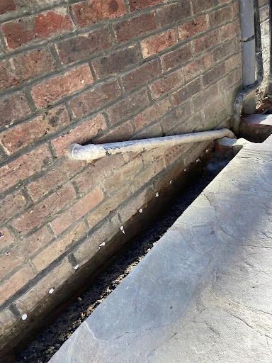 Allwood Preservation photo 6