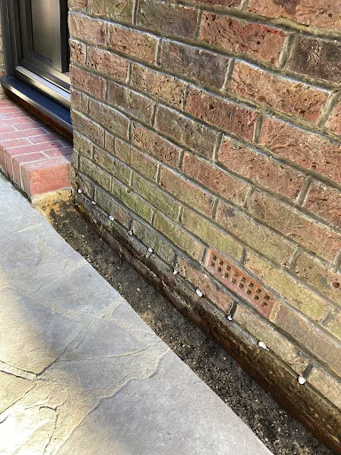 Allwood Preservation photo 7