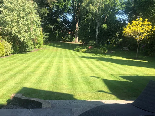 Bontempo Garden Services Ltd photo 1