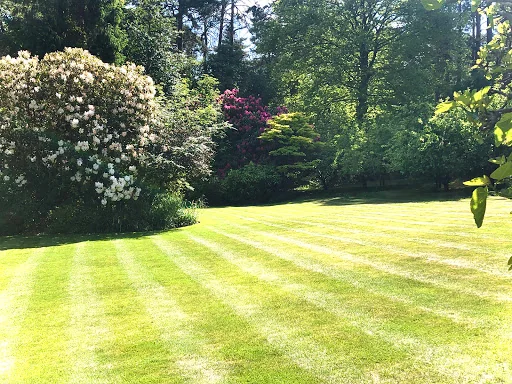 Bontempo Garden Services Ltd photo 2