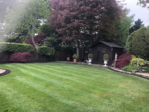 Bontempo Garden Services Ltd photo 4