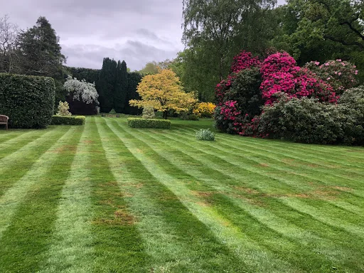 Bontempo Garden Services Ltd photo 5