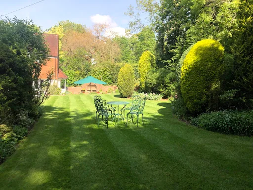 Bontempo Garden Services Ltd photo 6