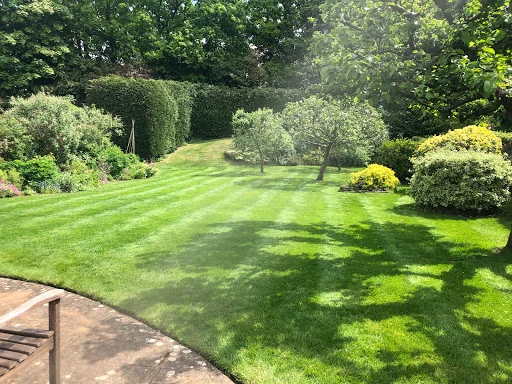 Bontempo Garden Services Ltd photo 7