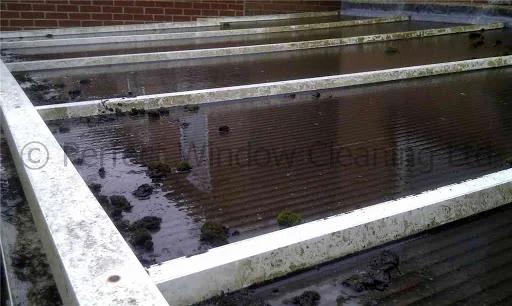 Perfect Windows photo 4