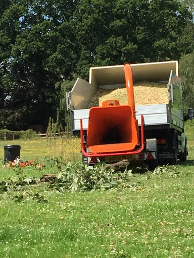 Sussex Tree Care photo 2