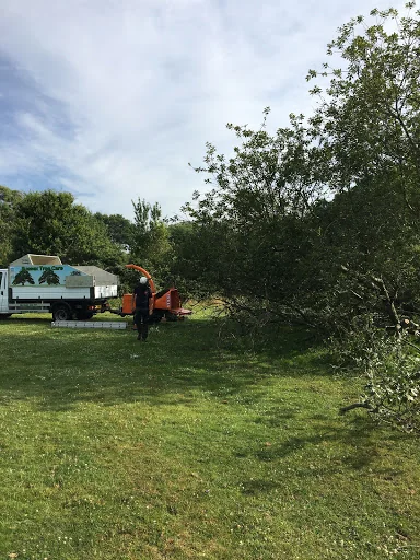 Sussex Tree Care photo 3