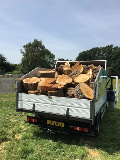 Sussex Tree Care photo 6