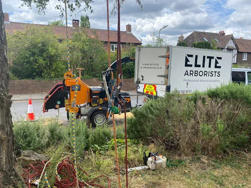 Elite Arborists Ltd photo 1