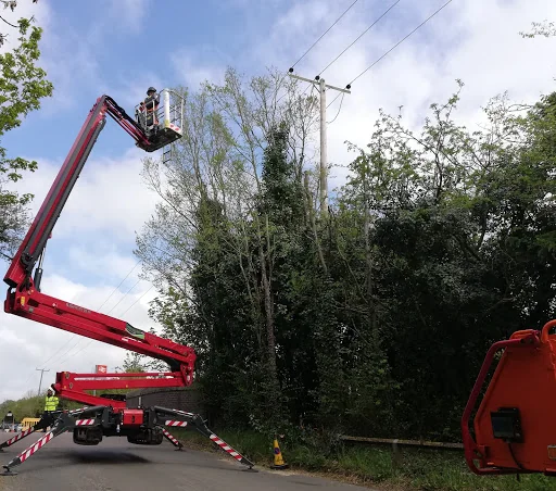 Elite Arborists Ltd photo 2