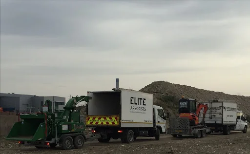 Elite Arborists Ltd photo 3
