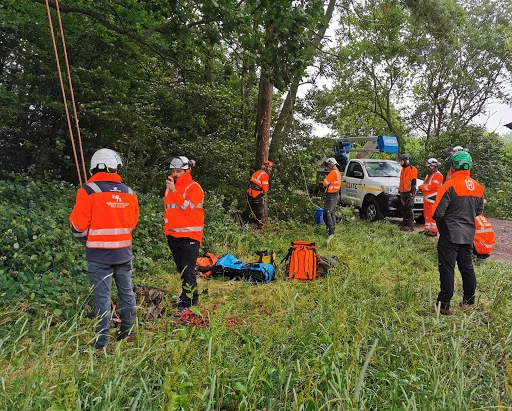 Elite Arborists Ltd photo 4