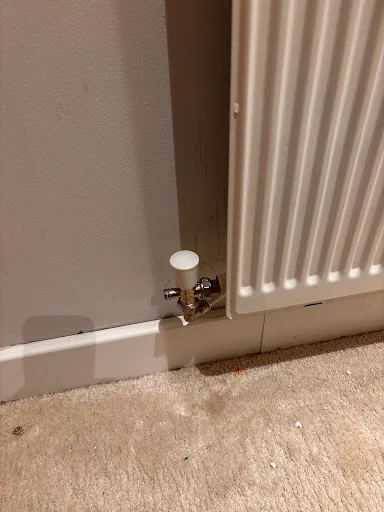 Capital Plumbing Ltd photo 8