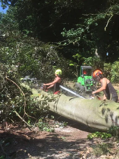 Opus Tree &amp; Garden Services photo 1