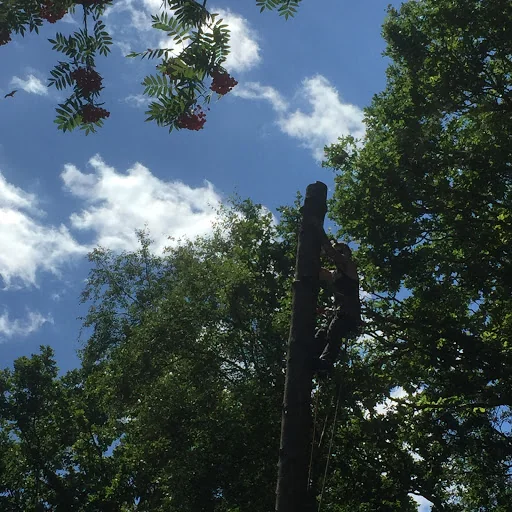 Opus Tree &amp; Garden Services photo 2