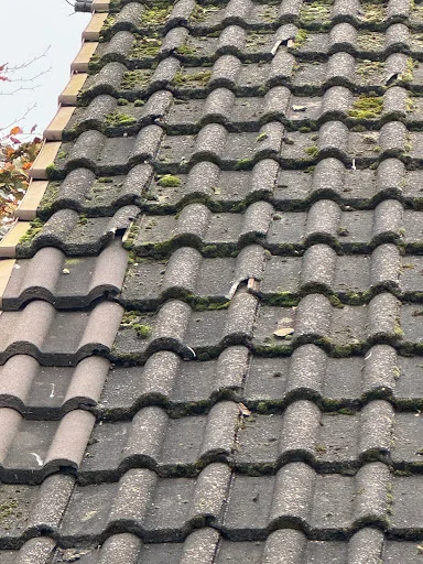 Roofs 'R' Us Midlands Ltd photo 5