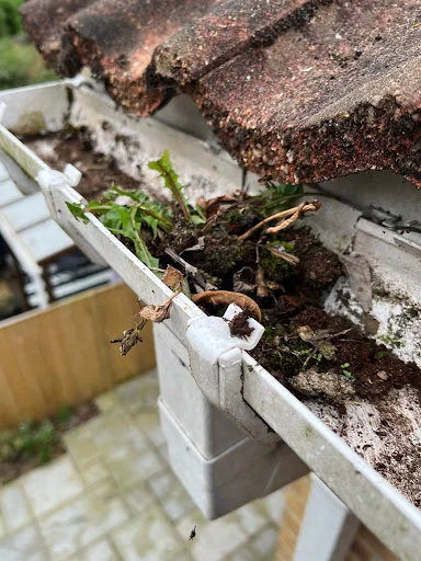 CT Cleaning Services photo 1