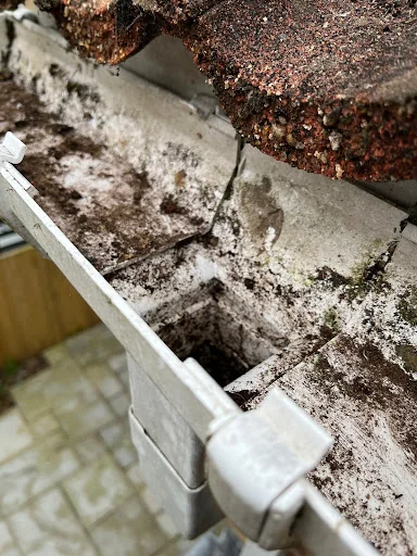 CT Cleaning Services photo 2