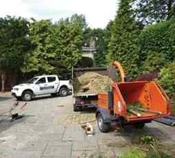 4 Seasons Tree Surgeons photo 4
