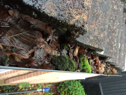 Clean Windows &amp; Gutters Limited photo 2