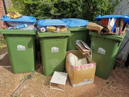 Greens Clearances photo 5