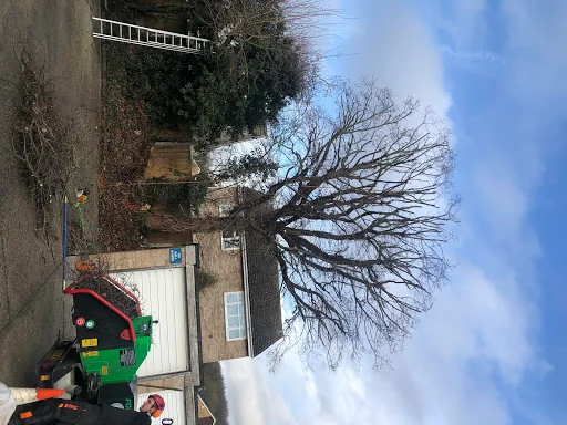 Temple Tree Care photo 3