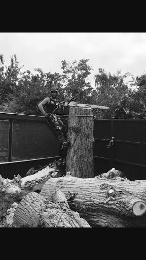 Temple Tree Care photo 7