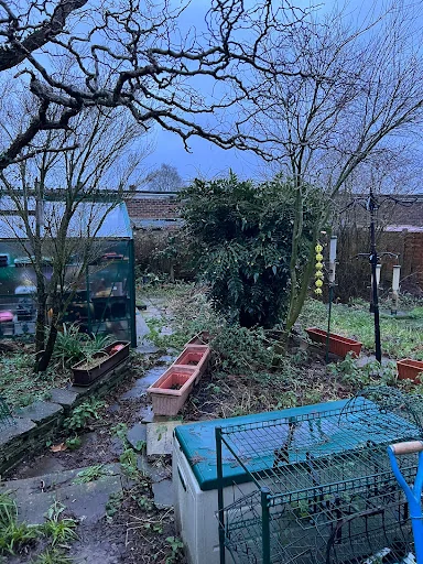 Copthorne Garden Services photo 1