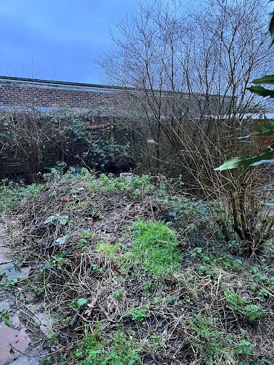 Copthorne Garden Services photo 3