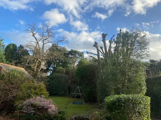 Copthorne Garden Services photo 6