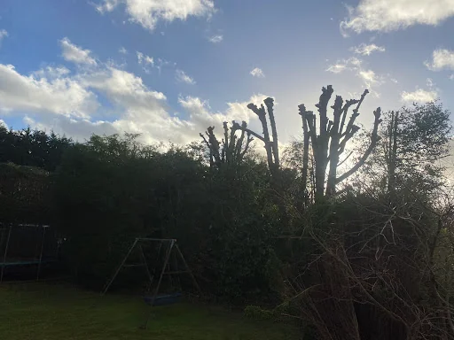 Copthorne Garden Services photo 7