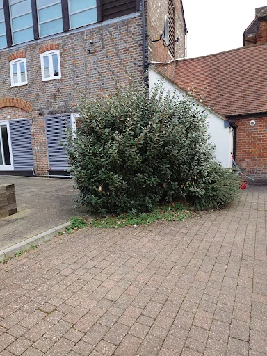 Trim And Tidy Garden Services photo 1