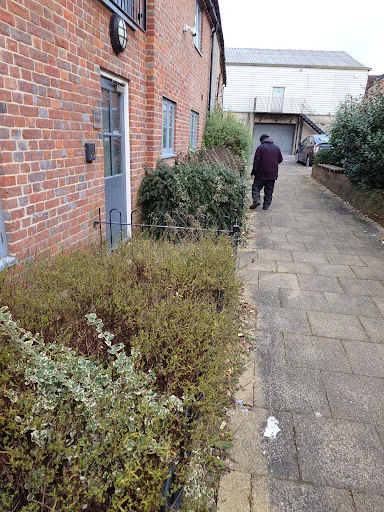 Trim And Tidy Garden Services photo 2