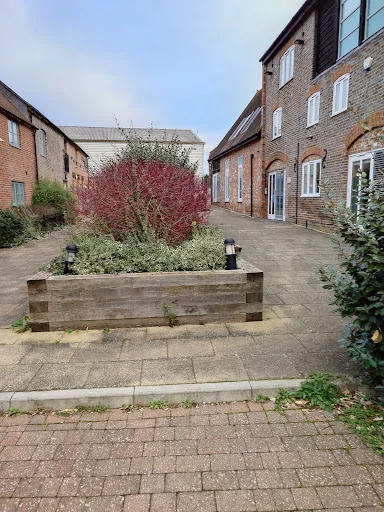 Trim And Tidy Garden Services photo 3