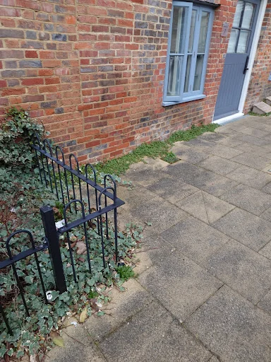 Trim And Tidy Garden Services photo 5