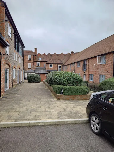 Trim And Tidy Garden Services photo 8