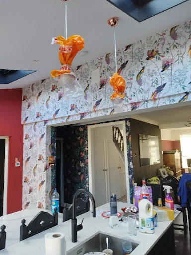 Domestic Decorating and Plastering DDP photo 1