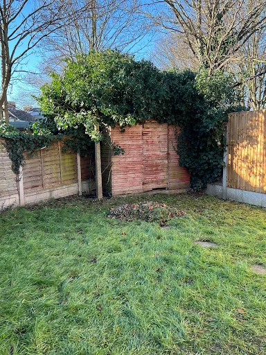 PTM Gardening Ltd photo 7