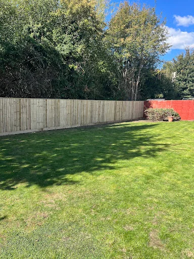 Advanced Tree Care &amp; Landscape Services photo 1