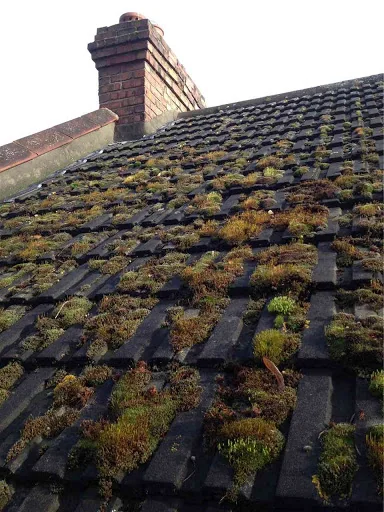 Ace Roofing &amp; Guttering photo 4