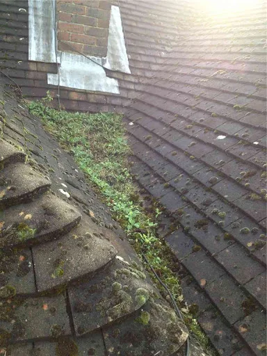 Ace Roofing &amp; Guttering photo 6